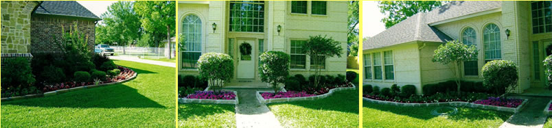 fort-worth-tx-landscaping-tree-service-a-c-lawn-service-1.jpg